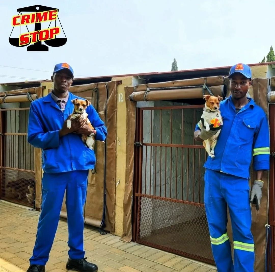 Crime Stop pet kennels staff with dogs